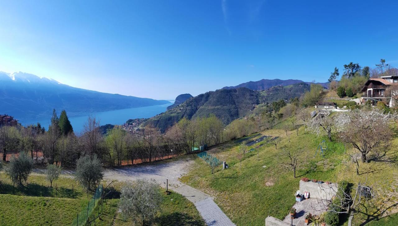 Teresa Campi Apartments Lake View By Gardadomusmea Tremosine المظهر الخارجي الصورة